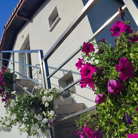 Апартаменты Flora