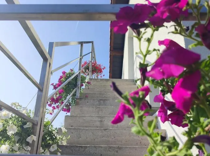 Flora * Врдник